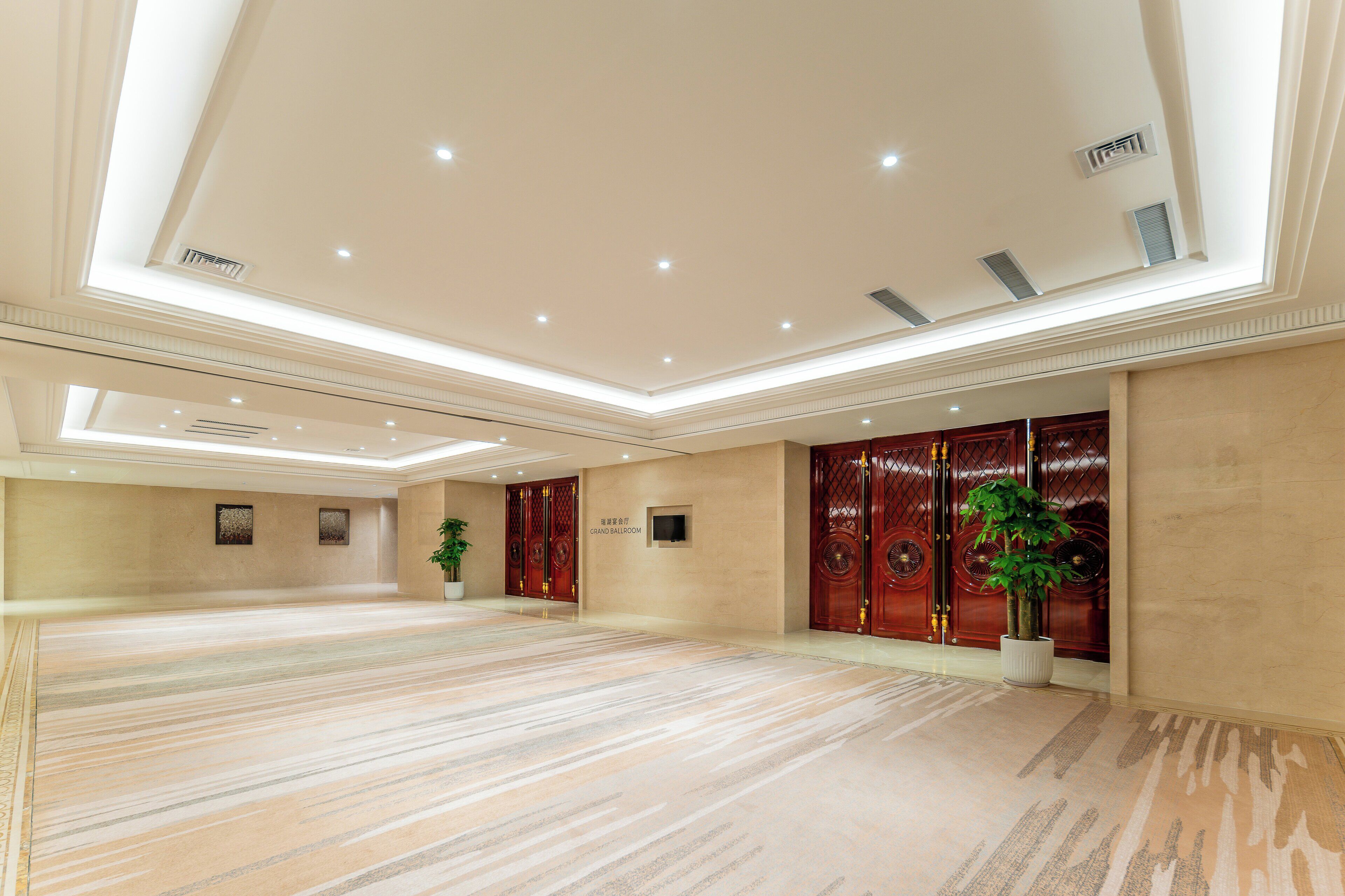A spacious, well-lit room with a high ceiling, a large carpeted area, and a potted plant.