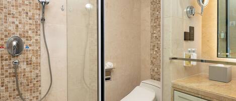 Un bagno con doccia, servizi igienici e un lavabo con specchio.