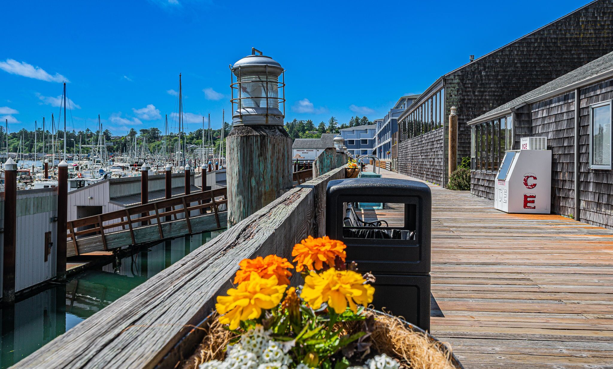 A wooden pier with a row of buildings on one side and a marina on the other.