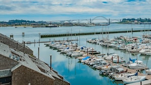 A marina with multiple boats docked, a bridge in the background, and buildings along the waterfront.