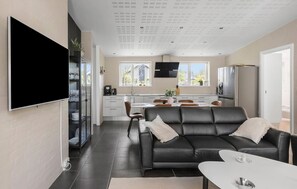 Smart-TV, Kamin