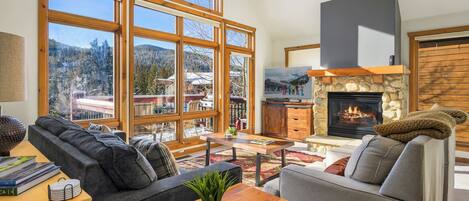 Smart TV, fireplace, DVD player, books