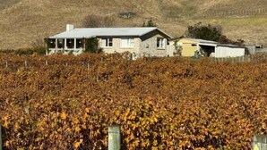 A house with a porch and a garage, surrounded by a vineyard. - Three Fifty Cottage (Havelock North)