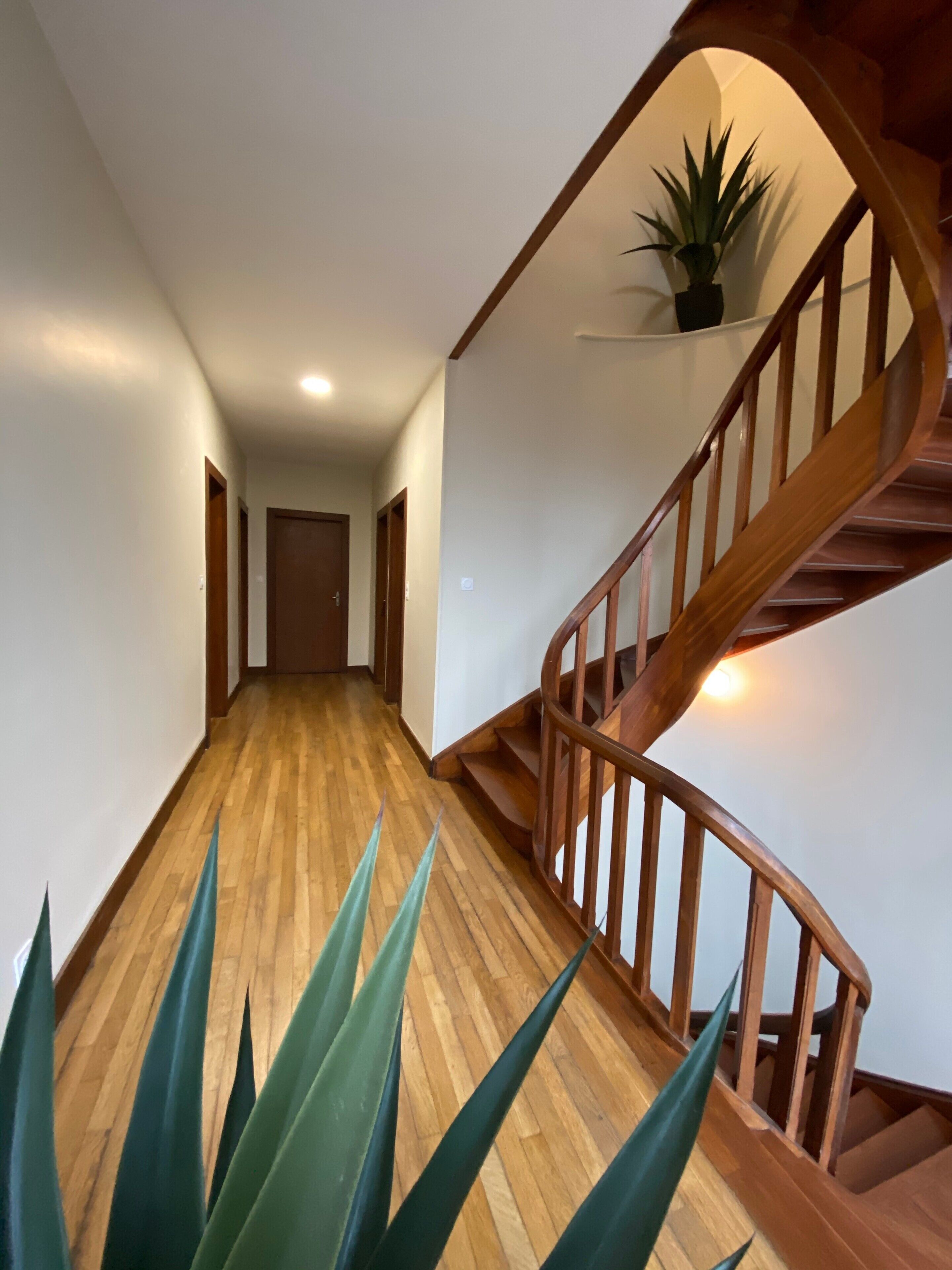 A wooden staircase with a plant on the landing, leading to a door at the end of a hallway with wooden flooring.