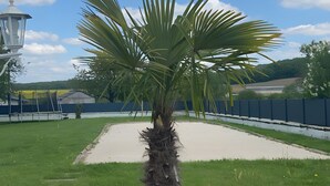 A palm tree with red flowers in a grassy area with a clear sky.