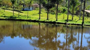 A calm pond surrounded by lush greenery and trees, reflecting the sky and vegetation.