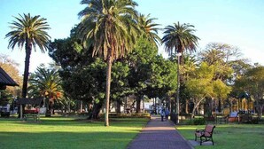 A paved pathway in a park with palm trees and benches. - Cosy Studio (Redfern)