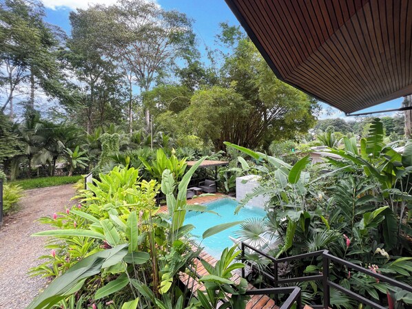 Pool - Escondido Retreat Centre | 3 Pools, AC, Yoga Deck, Sleeps 16 people, Game Room (Puerto Viejo de Talamanca)