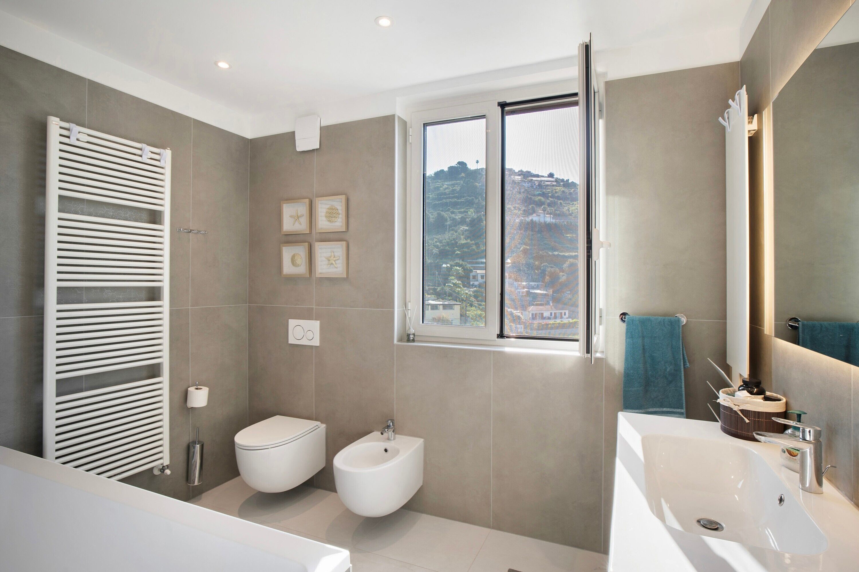 Shower, hair dryer, towels
