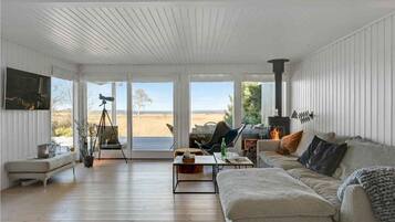 Cheminée, chaßne hi-fi