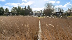 Property grounds - Lovely summer house by Arresø (Hillerød)