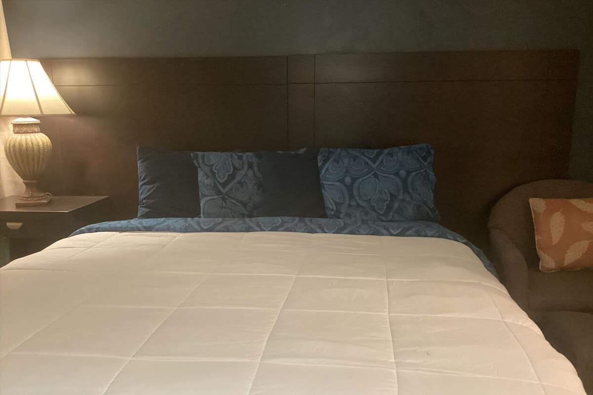 Single Room, 1 King Bed, Non Smoking | Desk, free WiFi