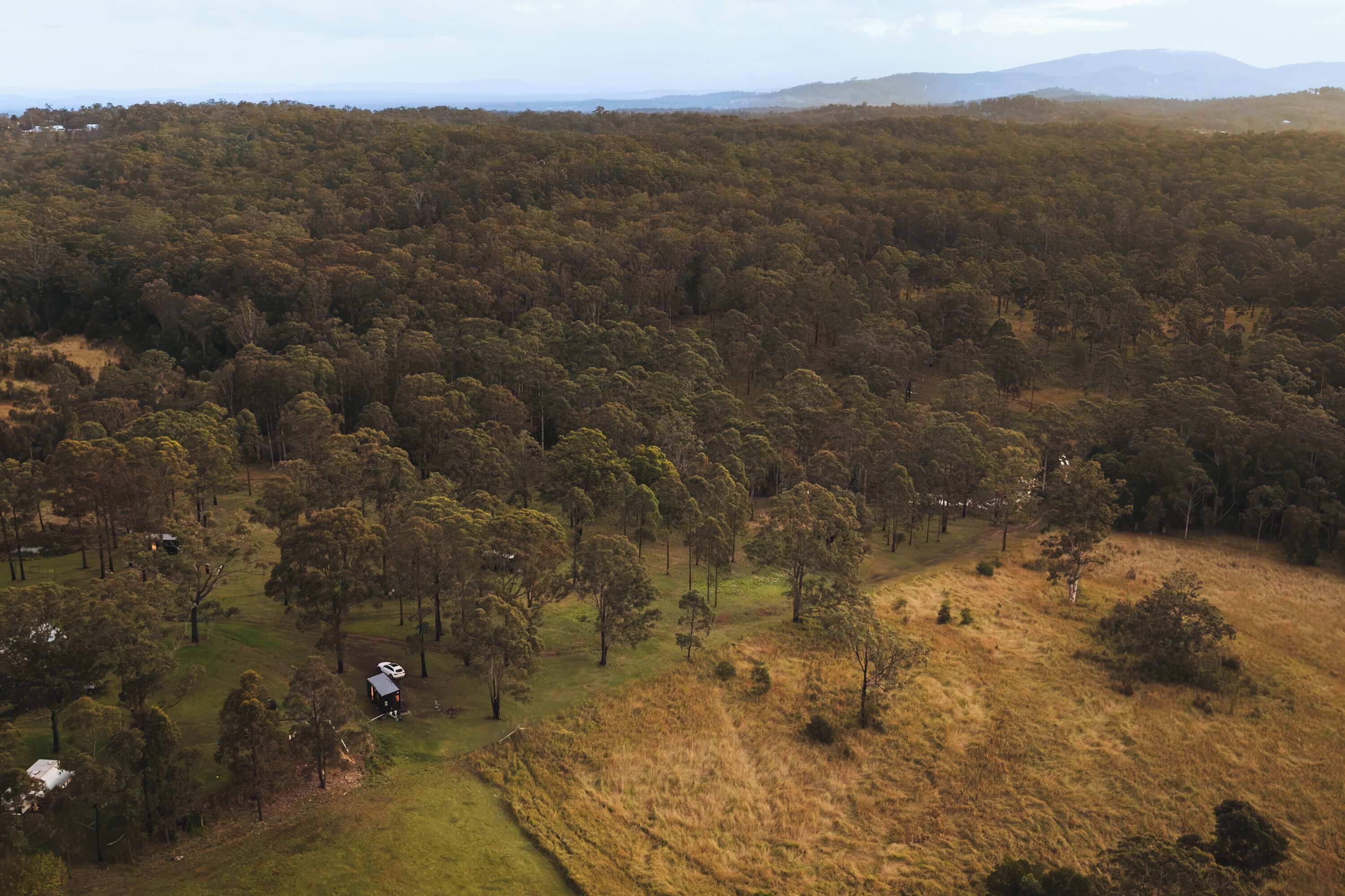 A rural landscape with a small house surrounded by dense forest and open grassy areas.