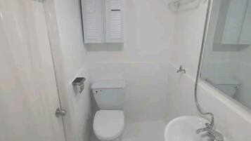 Hair dryer, towels, soap, toilet paper