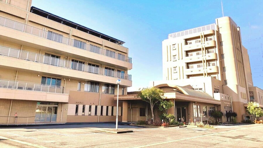 Tennen Onsen Hotel Kinshai