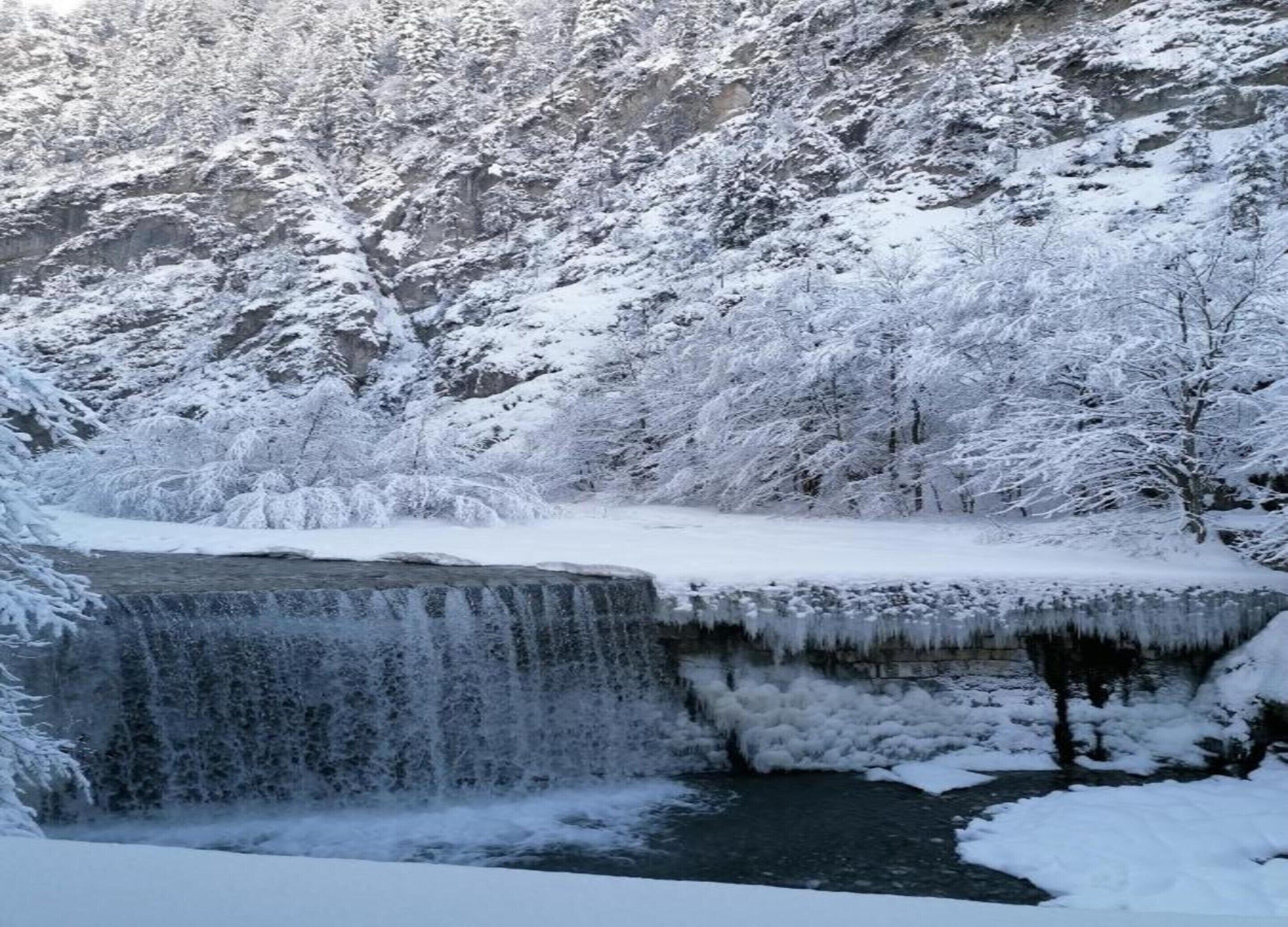 A snow-covered waterfall with a rocky ledge and dense trees in the background.