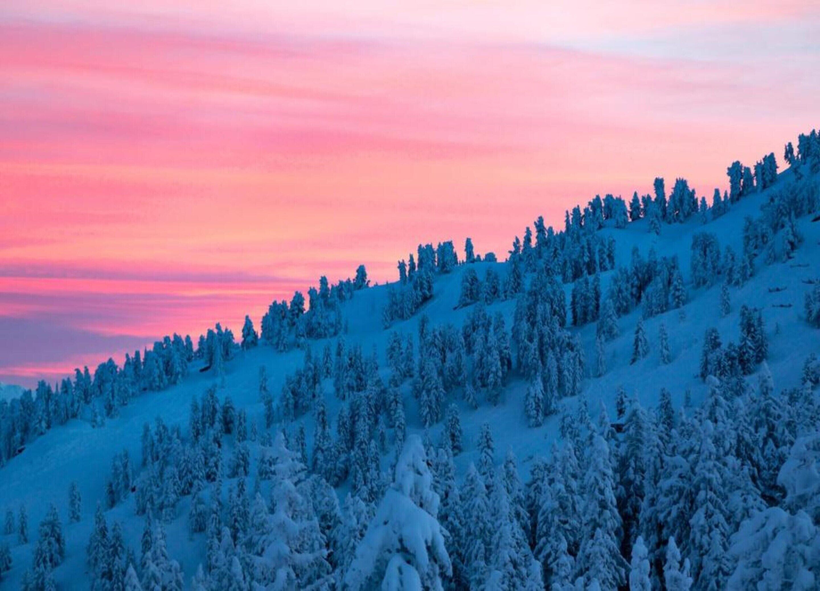 A snow-covered mountain landscape with dense coniferous trees.
