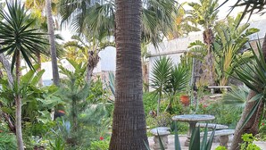 Un giardino con diverse piante, un albero grande e una panchina in pietra.