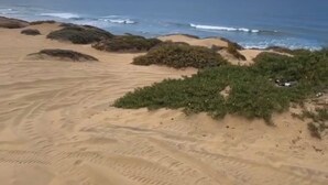 Una spiaggia con dune sabbiose e vegetazione rada.