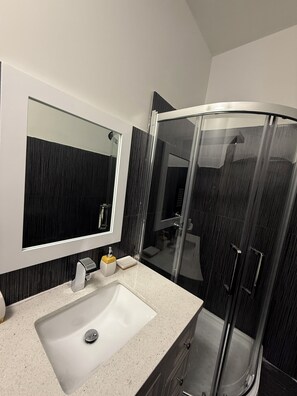 Hair dryer, towels, soap, toilet paper