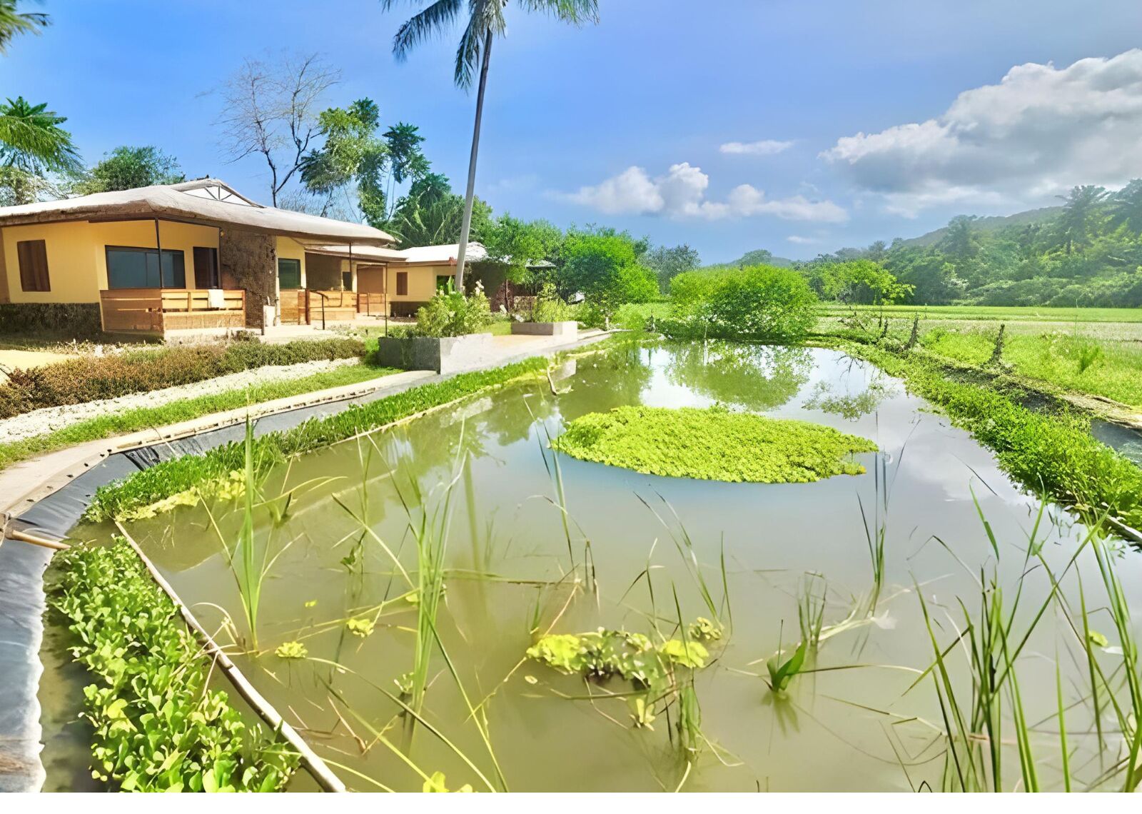 Chambre Quadruple Familiale, balcon, vue montagne | Vue depuis le balcon