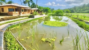 A hotel with a pool surrounded by lush greenery and a clear sky. - Dianao Beach Club and Resort (Casiguran)
