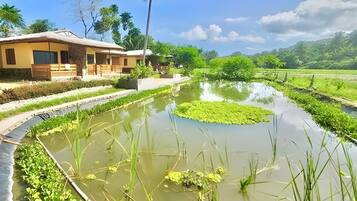 Chambre Quadruple Familiale, balcon, vue montagne | Vue depuis le balcon