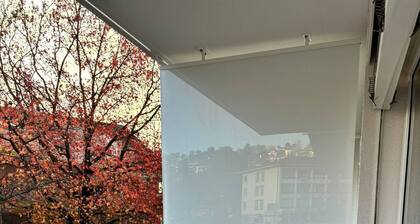 Place de raisin avec machine Ă laver