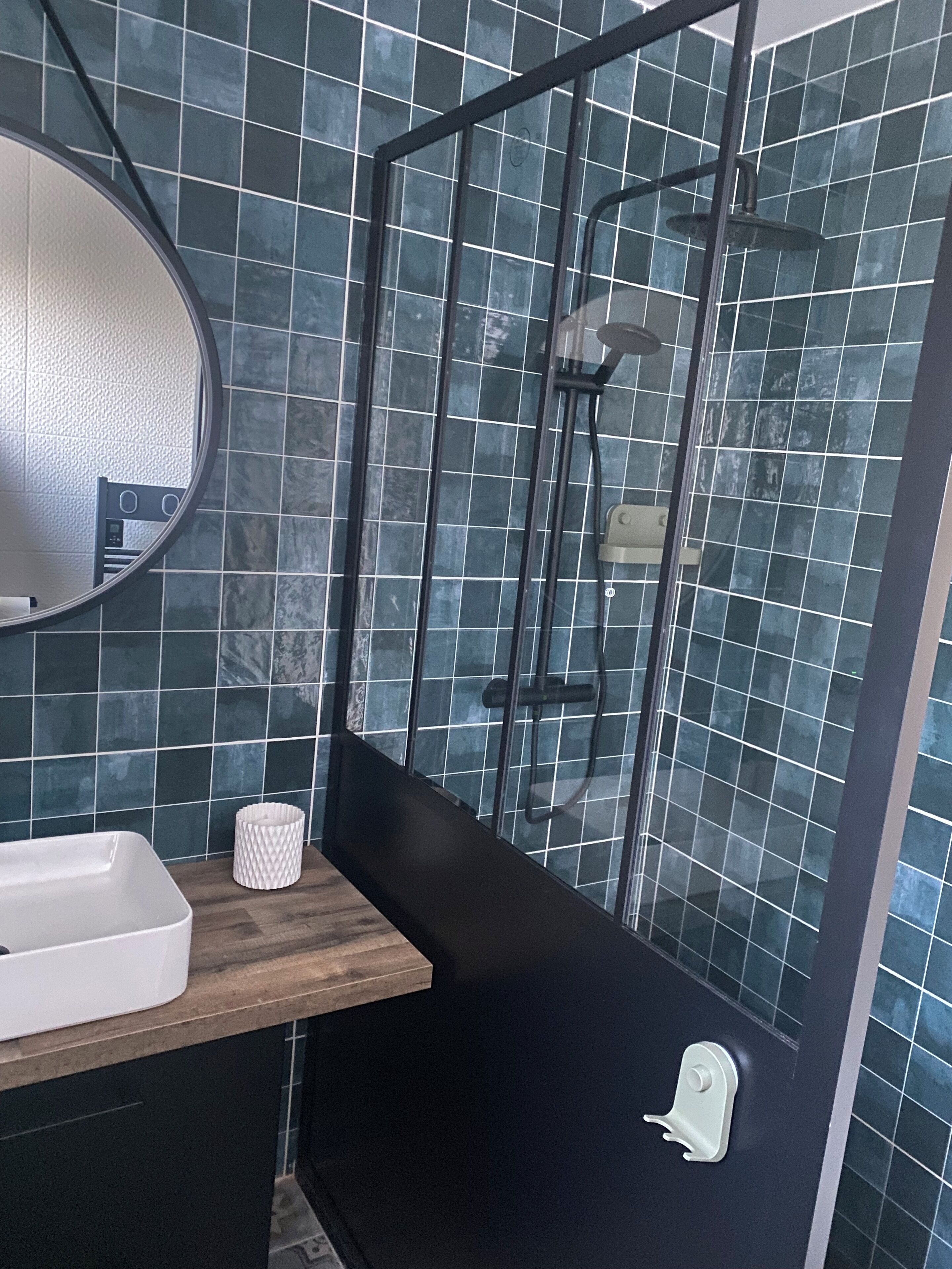 Shower, hair dryer, soap