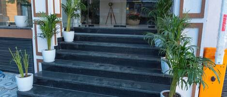 A set of black marble steps leading to a glass door entrance, flanked by white planters with green plants.