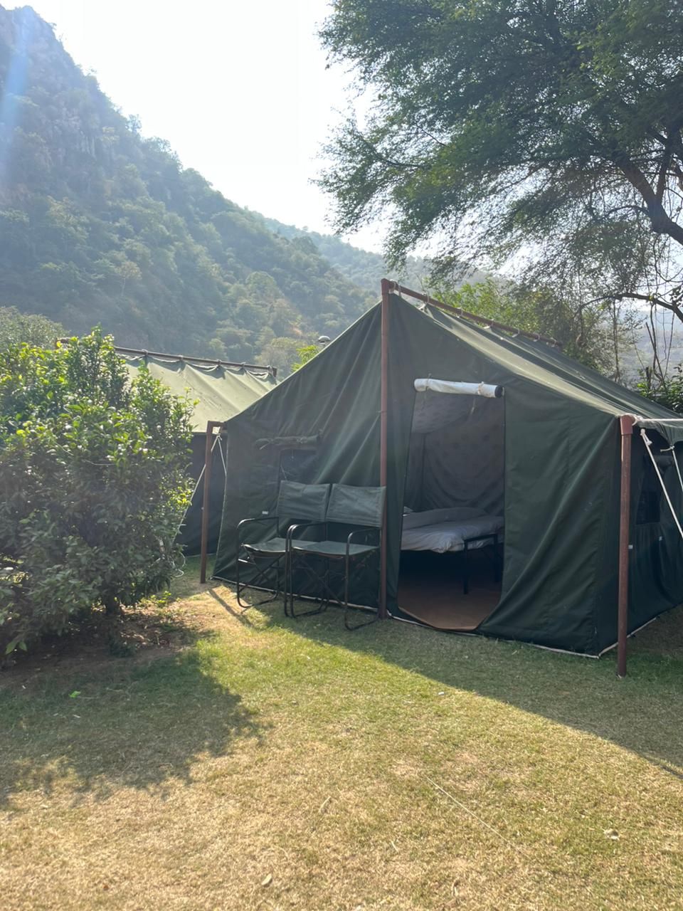 A single-person tent with a sleeping area, set up in a grassy area with trees and a mountain in the background.