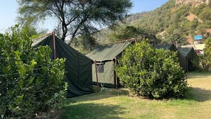 Un terrain de camping avec des tentes et une zone herbeuse, entouré d’arbres et avec une montagne en arrière-plan.