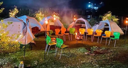 Bara Camp