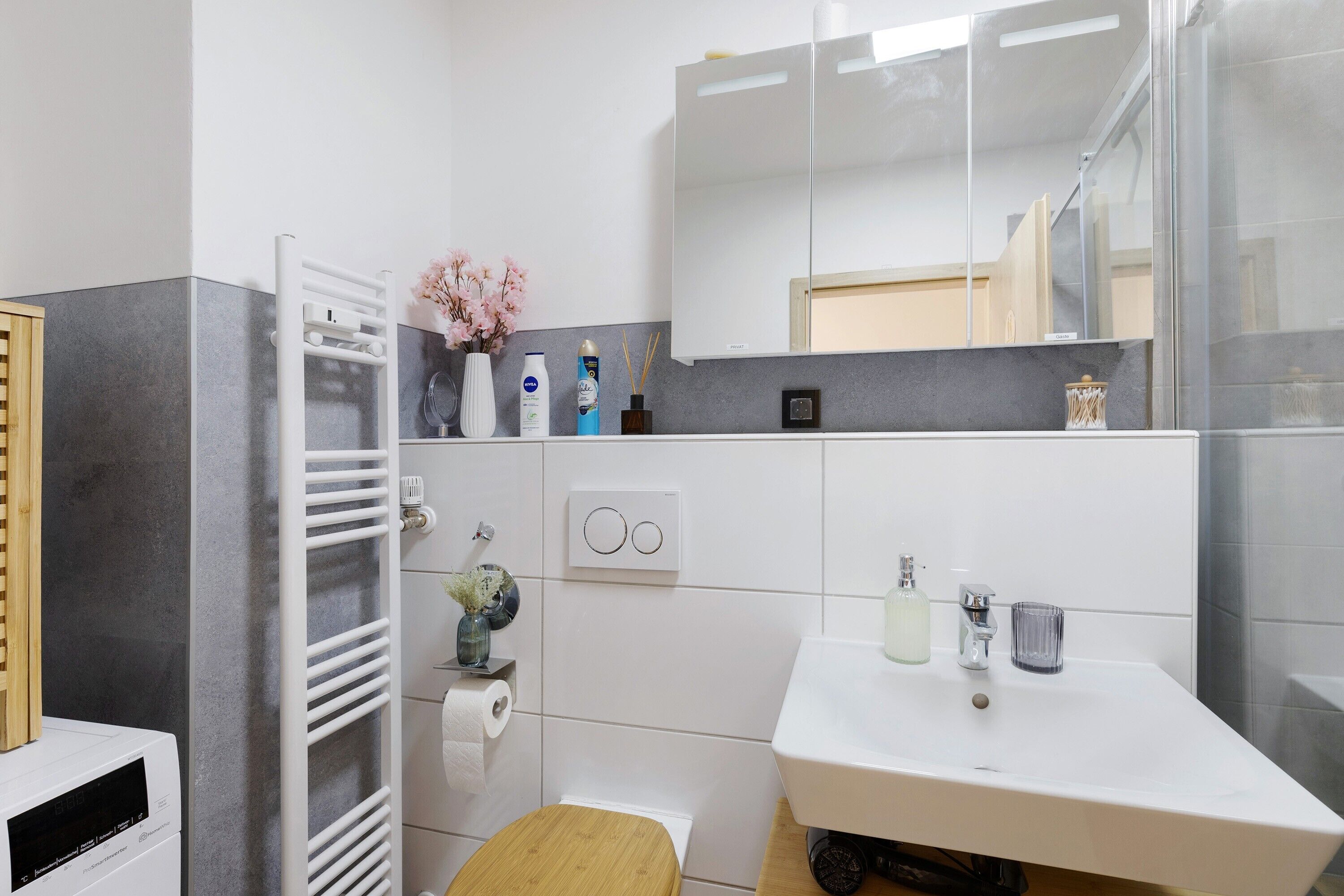 Shower, hair dryer, towels