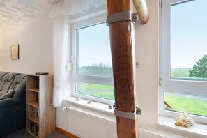 Fernseher, Tischtennisplatte