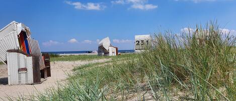 بالقرب من الشاطئ