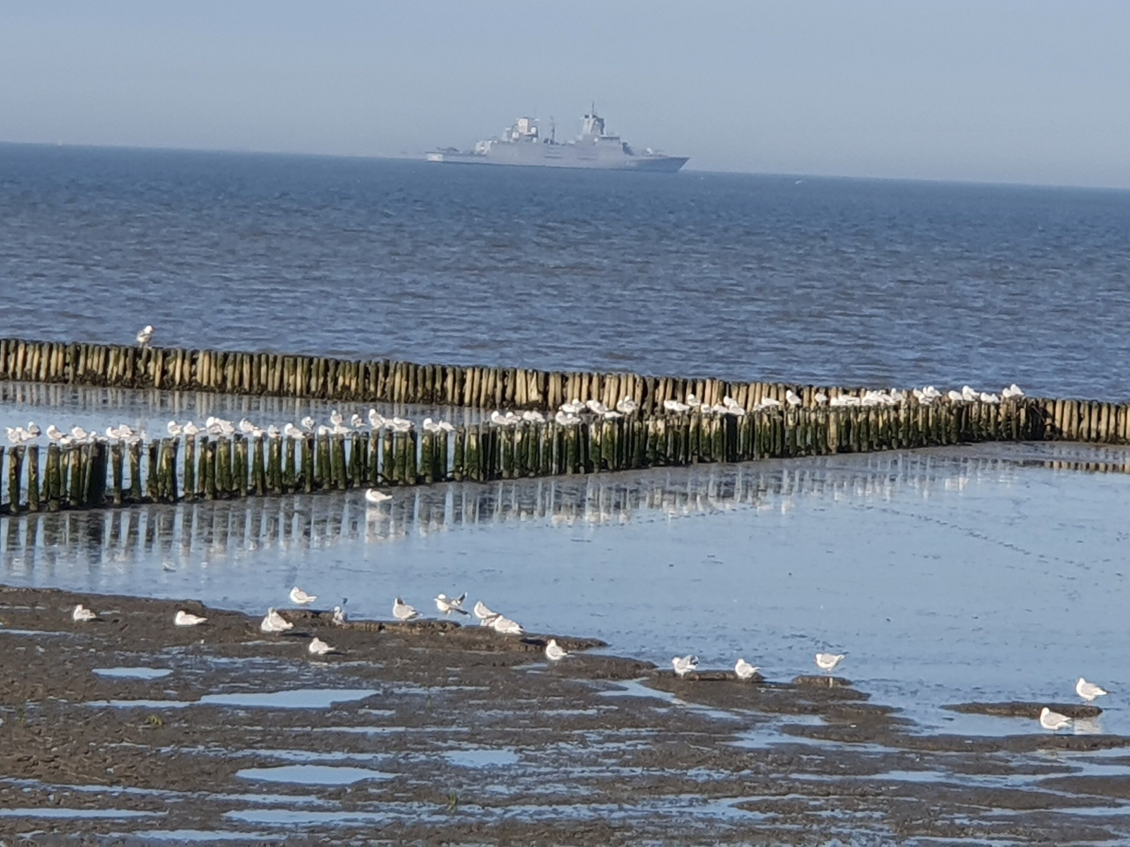 Eine Küstenlandschaft mit einem Schiff am Horizont, einem hölzernen Wellenbrecher und Möwen am Ufer.