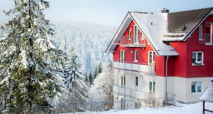 Apartment 'Tannenblick 2-4' with Mountain View, Balcony and Wi-Fi