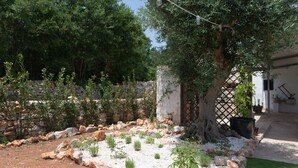Un jardín con diversas plantas y un árbol grande.
