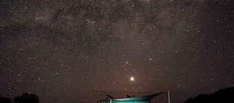 Poolside Ocean View Pod
