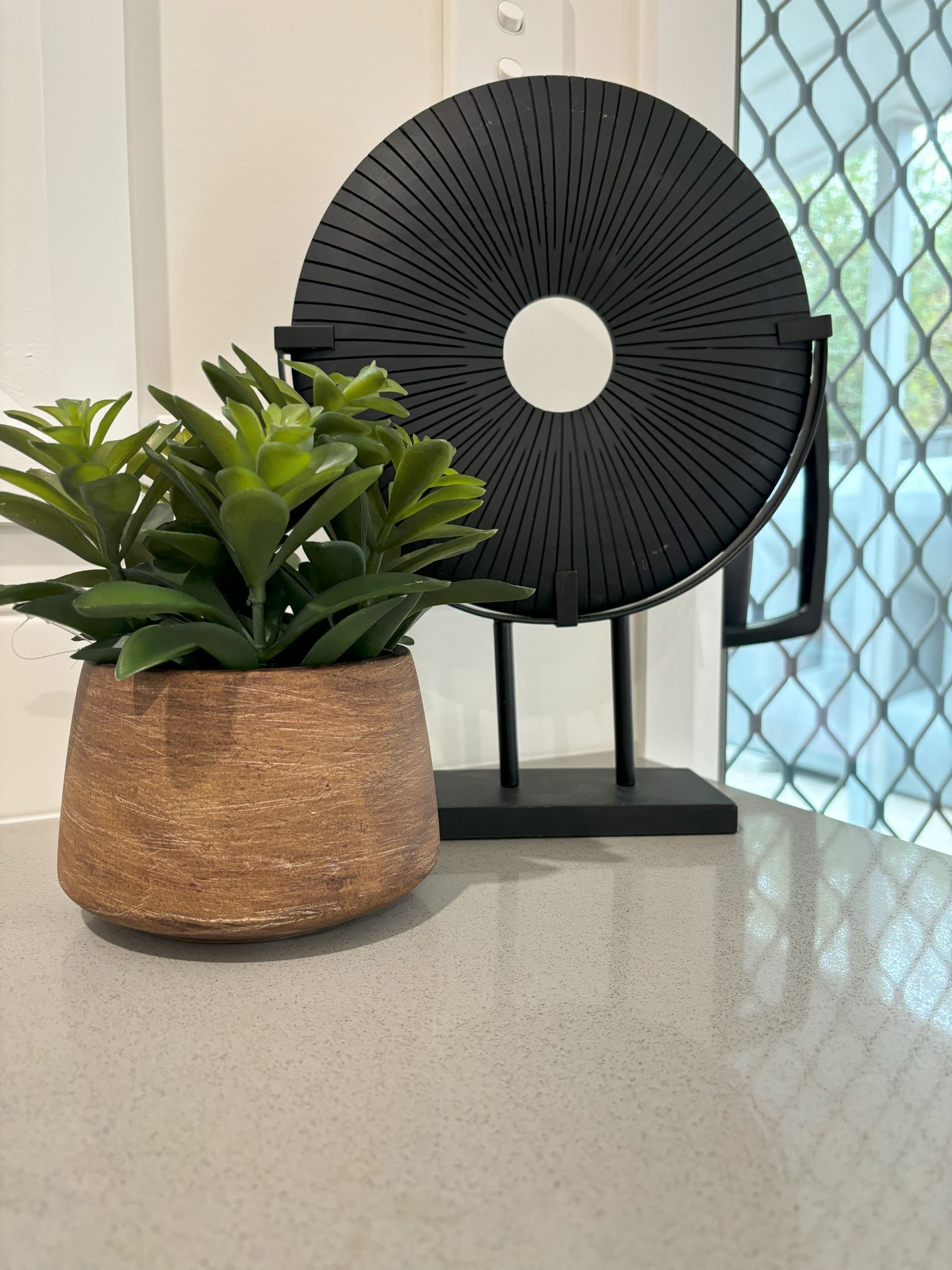 Une plante en pot, aux feuilles vertes, est posée sur un comptoir, à côté d’un objet circulaire noir doté d’un trou central.