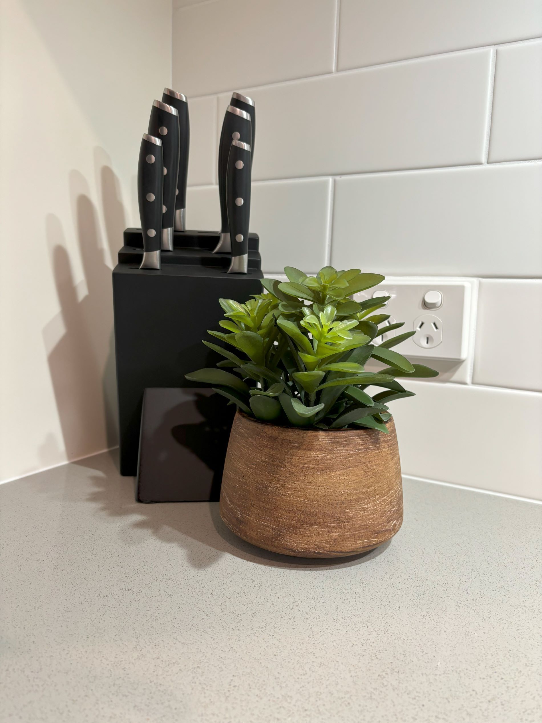A kitchen counter with a knife block and a potted plant.