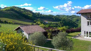 Un paysage rural avec des vignes, une maison à toit de tuiles et un mur de pierres.