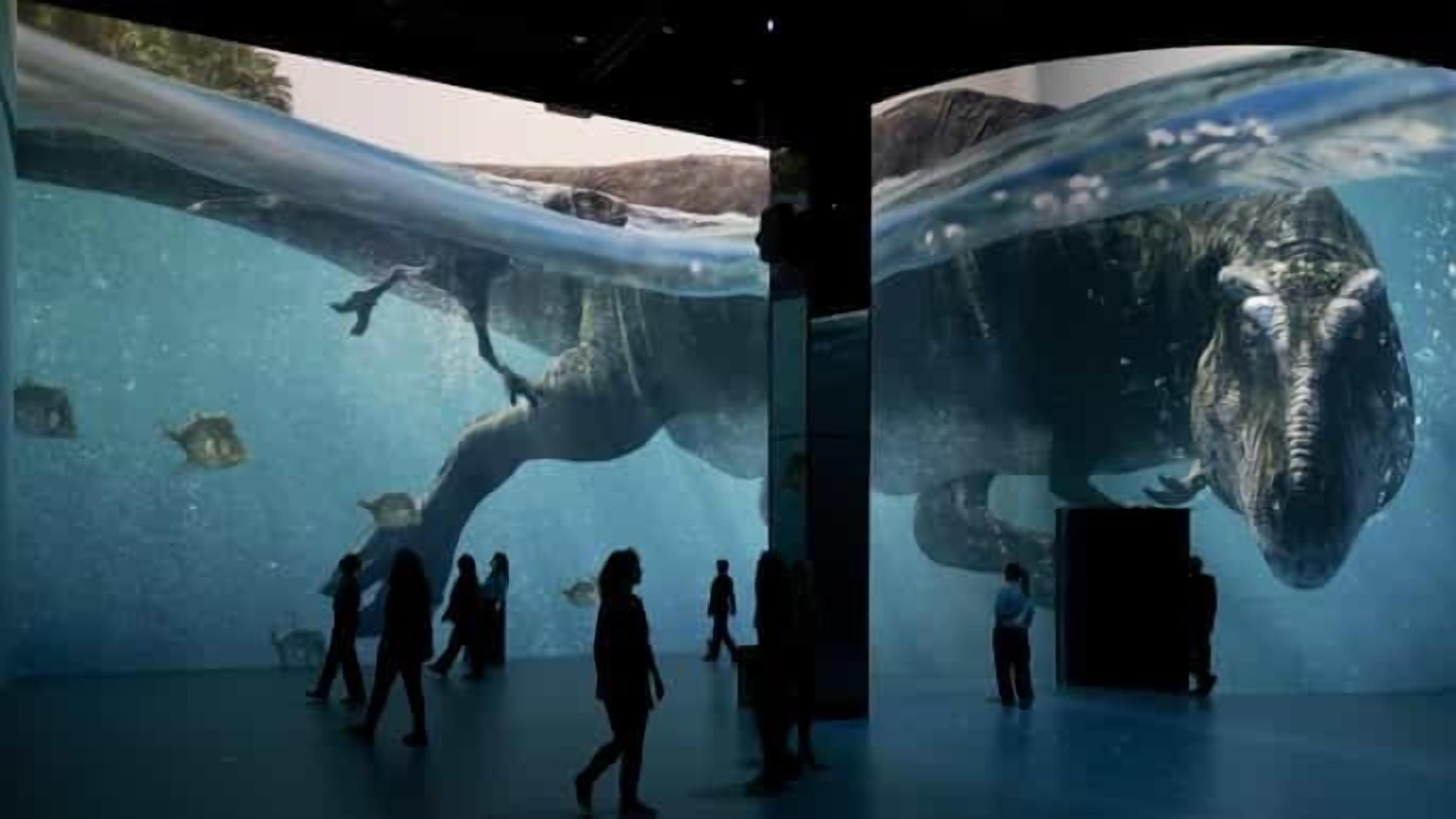 An underwater exhibit with large marine animals and visitors walking around.