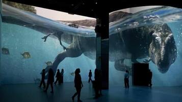 An underwater exhibit with large marine animals and visitors walking around.