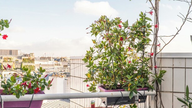 A rooftop terrace with a table set for dining, potted plants, and a view of the cityscape. - Panoramic Views from the 17th, by Veeve (Paris)