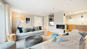 Télévision, cheminée, chaßne hi-fi