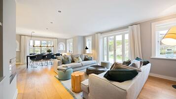 Télévision, cheminée, chaßne hi-fi