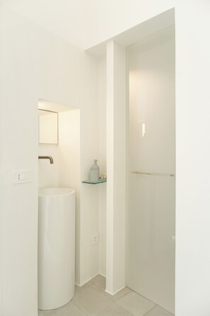 Shower, hair dryer, bidet, towels