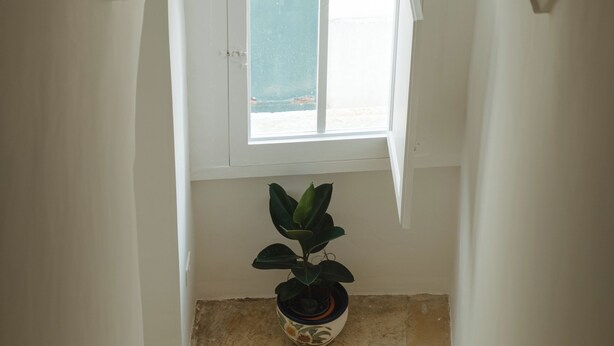 A staircase with a potted plant at the bottom, a window at the top, and a doormat in the middle. - FalcoMarino (Polignano a Mare)